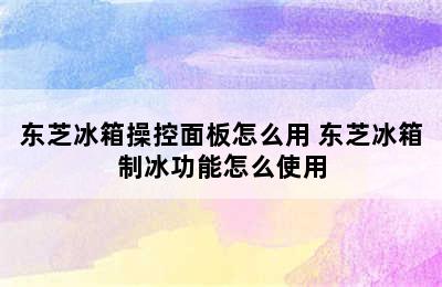 东芝冰箱操控面板怎么用 东芝冰箱制冰功能怎么使用